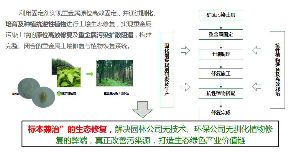 番茄视频app下载方案优势