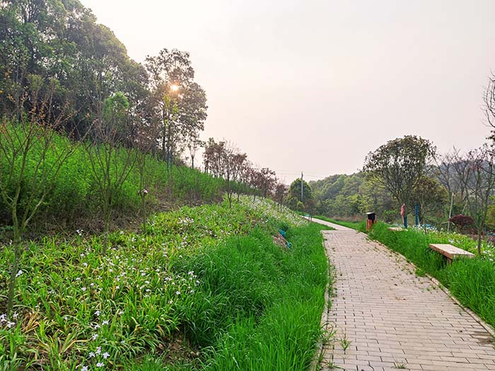 衡阳市常宁水口山铅锌煤矿区山水林田湖草生态保护番茄视频app下载试点工程