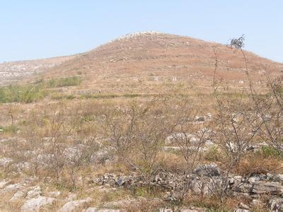 益阳市泥江口石子塘矿山生态番茄视频app下载——国家油茶林示范基地